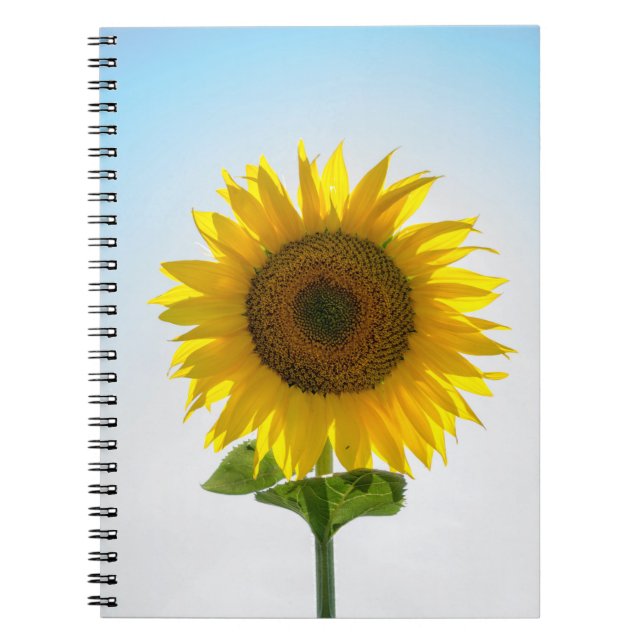 Caderno Espiral Girassol amarelo (Frente)