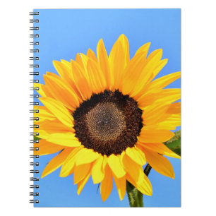 Caderno Espiral Girassol Amarelo contra Sol no Céu Azul - Verão 