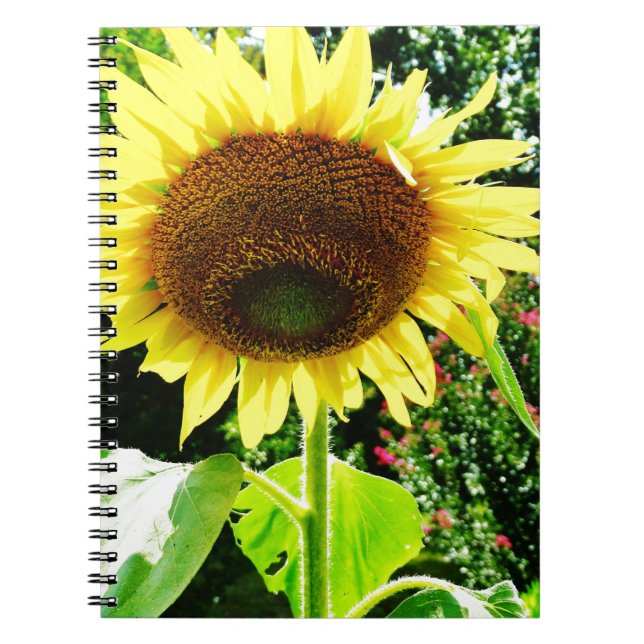 Caderno Espiral Girassol amarelo grande (Frente)