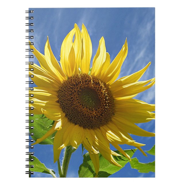 Caderno Espiral Girassol animador (Frente)