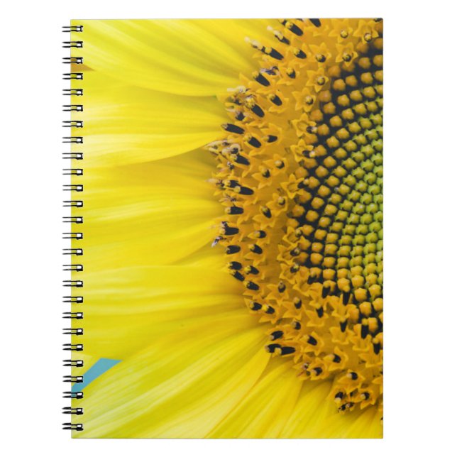 Caderno Espiral Girassol brilhante (Frente)