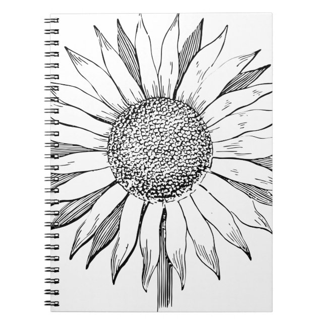 Caderno Espiral Girassol Ilustrado (Frente)