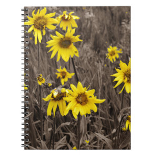 Caderno Espiral Girassol na Montanha Rochosa