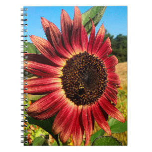 Caderno Espiral Girassol Vermelho com Abelha