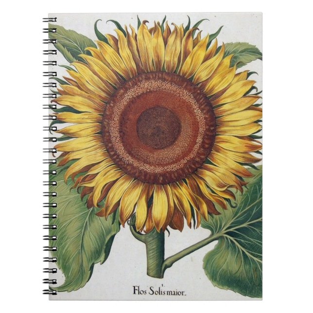 Caderno Espiral Girassol Vintage Damask Flower Art (Frente)