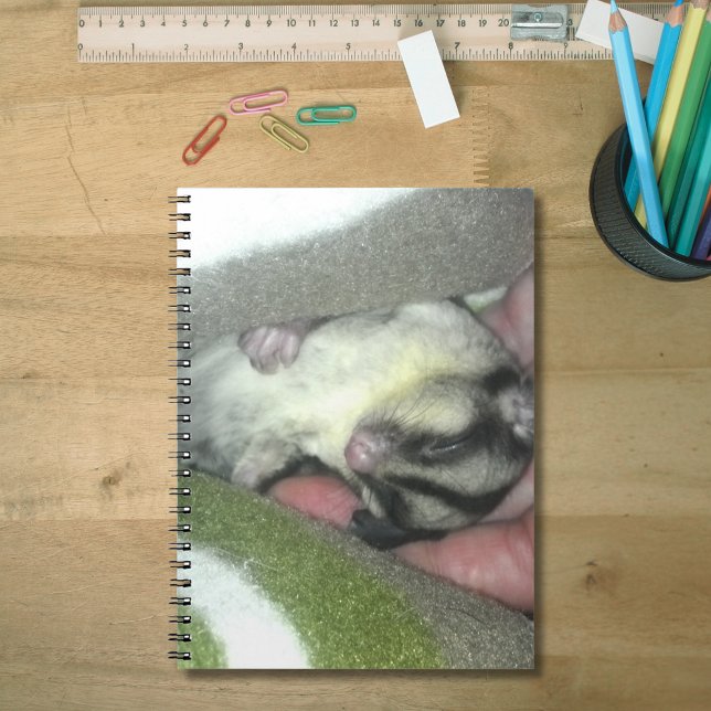 Caderno Espiral Glider de Açúcar Dormindo em Aberto (Sugar Glider Sleeping in Blanket Notebook)