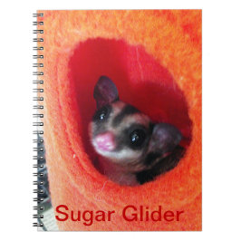 Caderno Espiral Glider de Açúcar na Cama Laranja