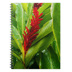 Caderno Espiral Glistening Red Ginger Flower and Rain-Kissed Leave