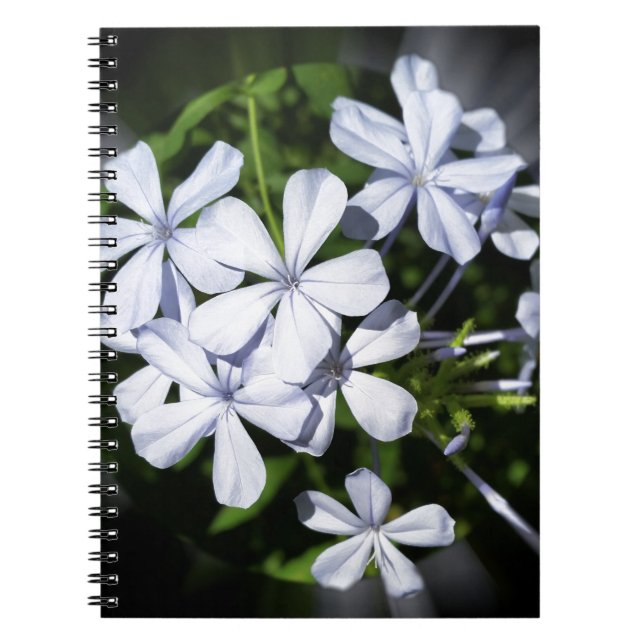 Caderno Espiral Globo de flores (Frente)