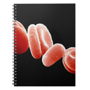 Caderno Espiral Glóbulos vermelhos