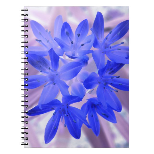 Caderno Espiral Glória do Notebook Azul Chocante de Neve (Frente)