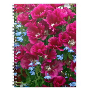 Caderno Espiral Godetia e presentes do Lobelia