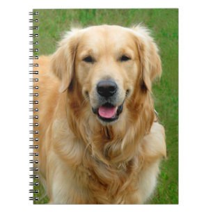 Caderno Espiral Golden retriever