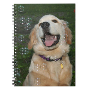 Caderno Espiral Golden retriever que trava bolhas