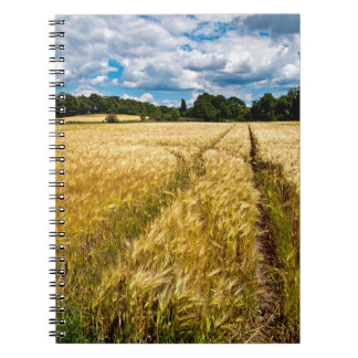 Caderno Espiral Goldenes Weizenfeld im Herbstlicht