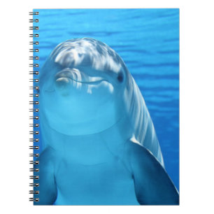 Caderno Espiral Golfinho Gelado No Oceano