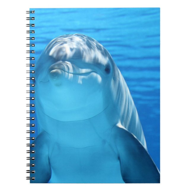 Caderno Espiral Golfinho Gelado No Oceano (Frente)