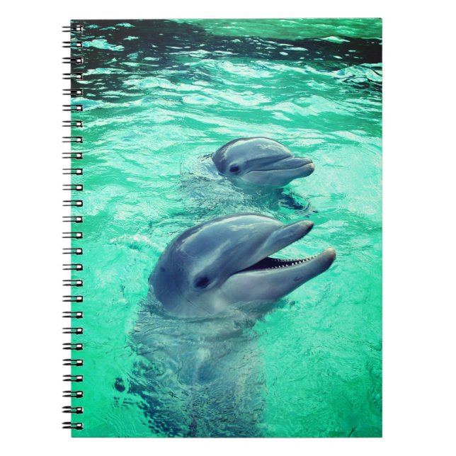 Caderno Espiral Golfinhos (Frente)
