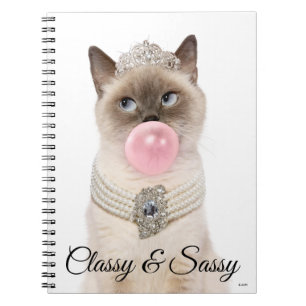 Caderno Espiral Goma-Bola De Goma-Bola De Gatos