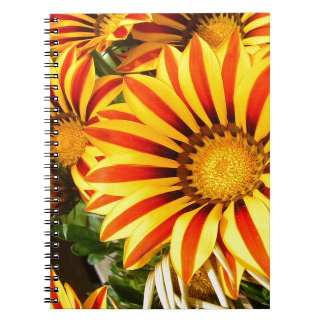 Caderno Espiral Gorgeous Gazania (Frente)