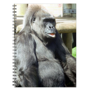 CADERNO ESPIRAL GORILA