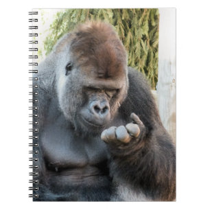 CADERNO ESPIRAL GORILLA