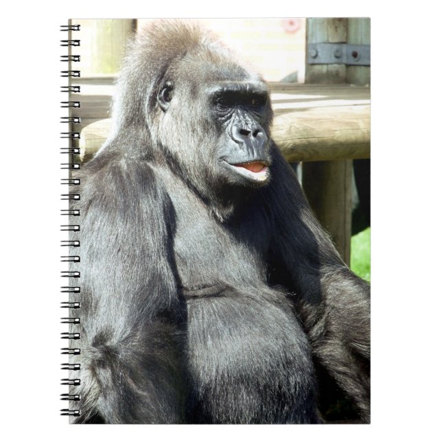 CADERNO ESPIRAL GORILLA (Frente)