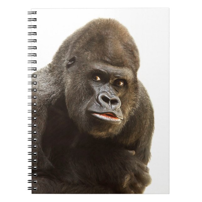 Caderno Espiral Gorilla Pout (Frente)