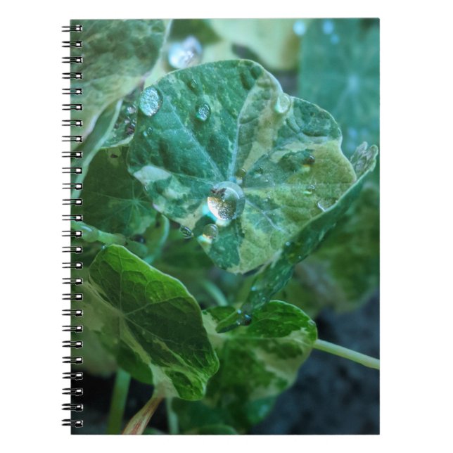 Caderno Espiral Gotas da Natureza (Frente)