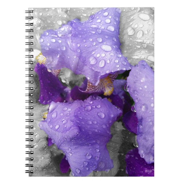 Caderno Espiral gotas de chuva na íris (Frente)