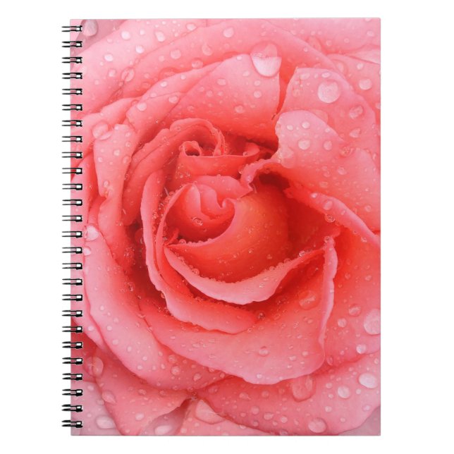 Caderno Espiral Gotas Românticas de Água Rosa Rosa Rosa Vermelha (Frente)