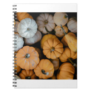 Caderno Espiral gourd