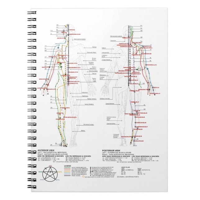 Caderno Espiral Gráfico de Meridianos Humanos (Frente)