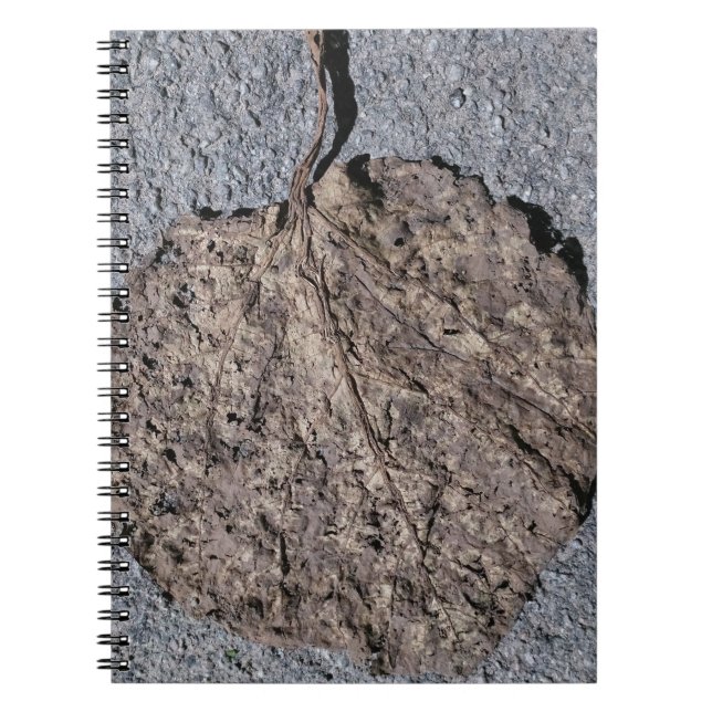 Caderno Espiral Gráficos/ Texturizados (Frente)