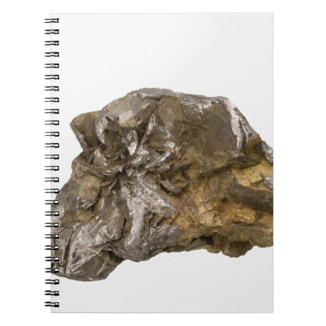 Caderno Espiral Grafite, Danville, Vermont, EUA (Frente)