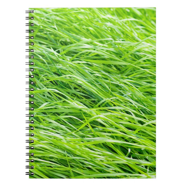 Caderno Espiral Grama (Frente)