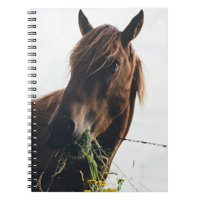 CADERNO ESPIRAL GRAMA DE CORTE DE CAVALO (Frente)