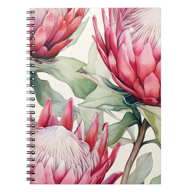 Caderno Espiral Grande Cerise Vibrante Caso Protea Sul-Africana (Frente)
