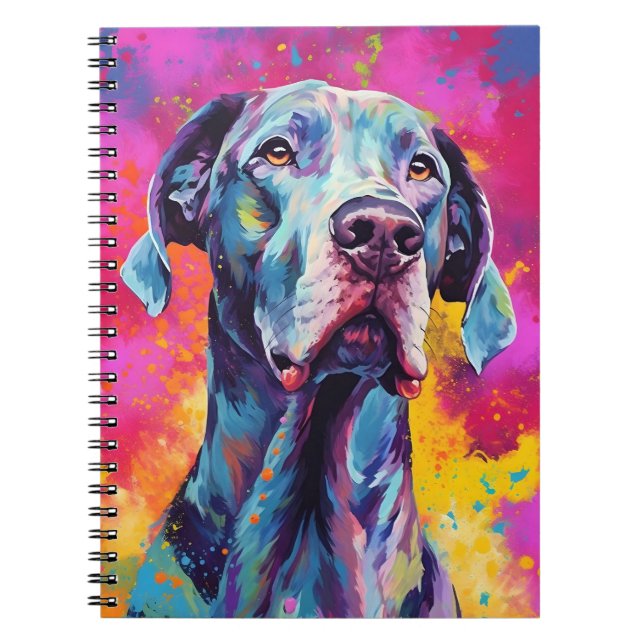 Caderno Espiral Grande Dane Colorida (Frente)