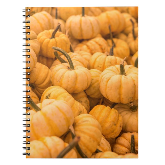 Caderno Espiral Grande quantidade de Pumpkins (Frente)
