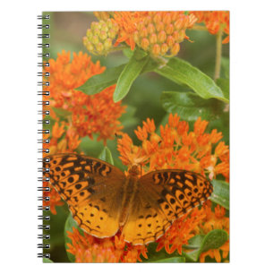 Caderno Espiral Grandes Fritilárias Manchadas em Asclepia Tuberosa