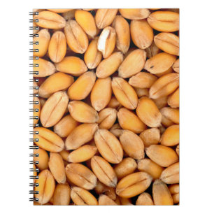 Caderno Espiral Grãos de trigo, cereais comidas