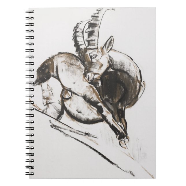 Caderno Espiral Grattarsi (Frente)