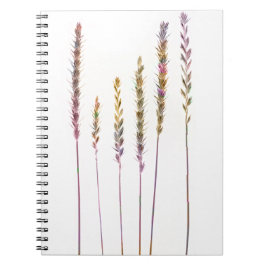 Caderno Espiral Graus Coloridos