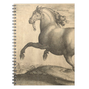 Caderno Espiral Gravura antiga elegante do cavalo espanhol