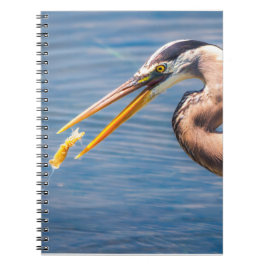 Caderno Espiral Great Blue Heron Hunting Prey Wildlife Art Print