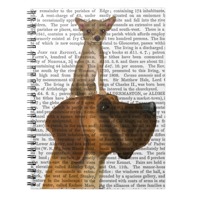 Caderno Espiral Great Dane e Chihuahua (Frente)