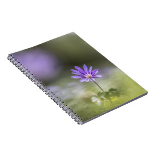 Caderno Espiral Grecian winflower Nature Foto