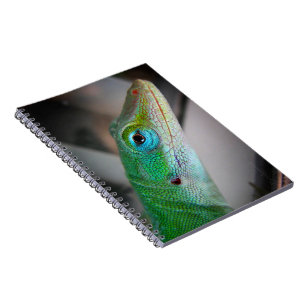 Caderno Espiral Green Anole Lizard