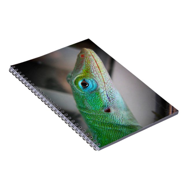 Caderno Espiral Green Anole Lizard (Lado Direito)